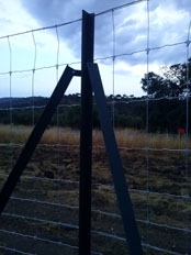 04. Cercado Cinegético