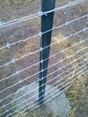 05. Cercado Cinegético