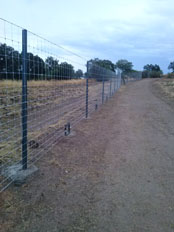 09. Cercado Cinegético