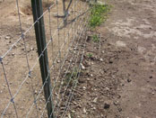 12. Cercado Cinegético