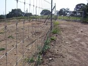 13. Cercado Cinegético