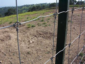 14. Cercado Cinegético