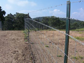 16. Cercado Cinegético