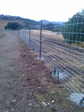 17. Cercado Cinegético