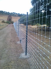 18. Cercado Cinegético