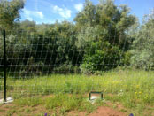 19. Cercado Cinegético