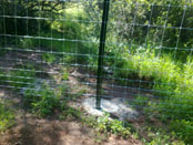 21. Cercado Cinegético