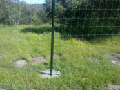 23. Cercado Cinegético