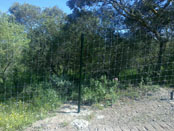 24. Cercado Cinegético