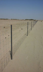 26. Cercado Cinegético